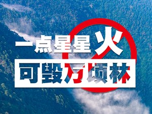 森林防火 文明祭祀