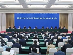 扎实抓好省两会部署要求在德阳落地落实 为新时代治蜀兴川大局作出更多德阳贡献