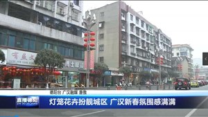 灯笼花卉扮靓城区 广汉新春氛围感满满
