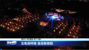 玉兔添祥瑞 奋进新旌阳