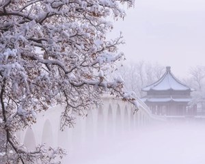 注意！就在今天16:30！