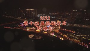 2023第十四届德阳灯会