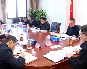 切实提升市政府党组凝聚力战斗力执行力 在推动德阳高质量发展上不断取得新突破