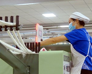 赶订单搞建设！我市奋力实现“开门红”