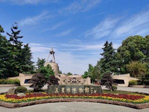 三星堆博物馆官方回应来了！