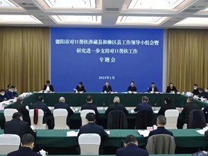 高标准高质量高效率推进对口帮扶工作 奋力续写新时代对口帮扶新篇章