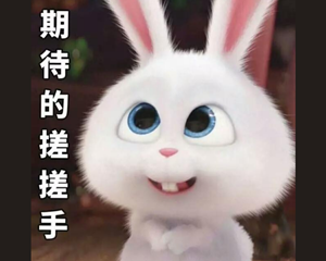 又有多所高校宣布：恢复！