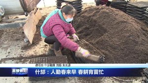 什邡：人勤春来早 春耕育苗忙