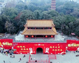 “保保节”即将开幕，这些你需要知道→