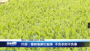 什邡：春耕备耕忙起来  不负农时不负春