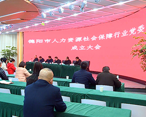德阳市人力资源社会保障行业党委成立