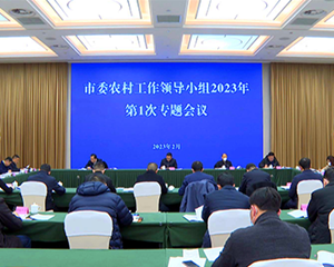 罗文全主持召开市委农村工作领导小组2023年第一次专题会议
