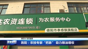 旌阳：农技专家“把脉” 助力粮油增收