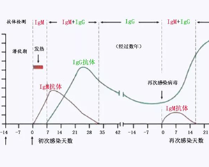 多地开展新冠抗体检测服务！专家：组织人群血清抗体调查可为接种规划提供参考