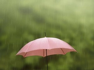 今年来最强雨雪将至！德阳接下来的天气：雨雨雨雨……