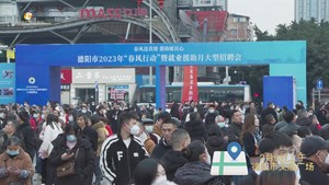 德阳2023“春风行动”暨就业援助月大型招聘会盛大举行