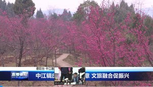 中江辑庆：山樱撩春意 文旅融合促振兴