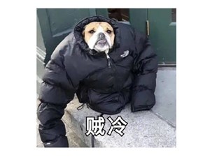 多穿衣服！德阳本周：大风+降温+雨雨雨
