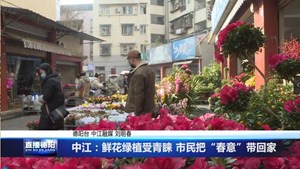 中江：鲜花绿植受青睐 市民把“春意”带回家