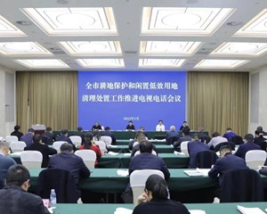 坚决扛起耕地保护政治责任 坚决守住耕地红线和粮食安全底线
