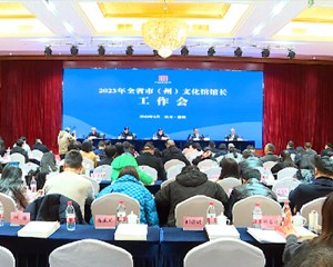 全省市（州）文化馆馆长工作会在我市举行