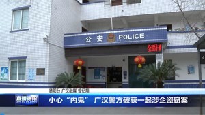 小心“内鬼” 广汉警方破获一起涉企盗窃案