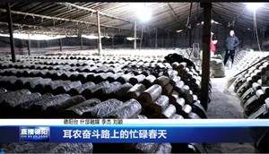 耳农奋斗路上的忙碌春天