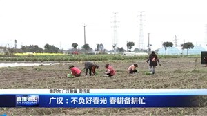 广汉：不负好春光 春耕备耕忙