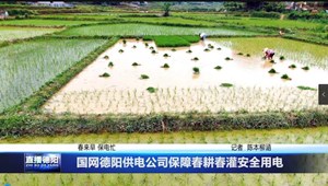 国网德阳供电公司保障春耕春灌安全用电