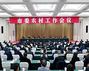 加快农业农村现代化步伐 加快建设现代农业强市