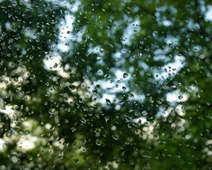 西南地区仍多雨雪 南方多地后天迎升温