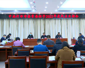 市领导督导各区（市、县）和市直有关部门领导班子2022年度民主生活会