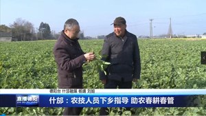 什邡：农技人员下乡指导 助农春耕春管