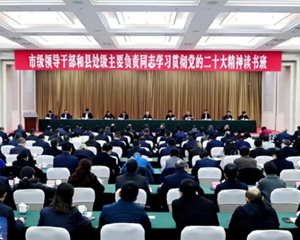 全面学习贯彻落实党的二十大精神 奋力写好中国式现代化的德阳篇章