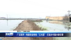 广汉高坪：构建农业特色“三大园” 打造乡村振兴新引擎