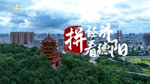 拼经济看德阳（三）