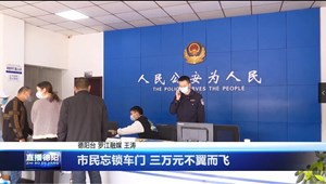 市民忘锁车门 三万元不翼而飞