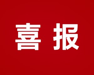 点赞！德阳2名个人、4个集体荣获全国妇联表彰