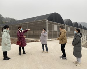 为道地中药材推出“专属”气象服务