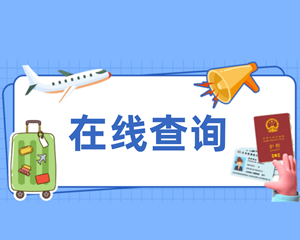 太便利了！本人护照信息、出入境记录可在线查询啦（附步骤图）