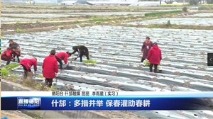 什邡：多措并举 保春灌助春耕