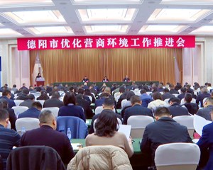 全市优化营商环境工作推进会举行