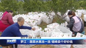 罗江：蔬菜水果冻一冻 错峰卖个好价钱