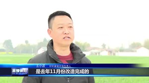 什邡马祖：推进高标准农田建设 筑牢乡村振兴“耕”基