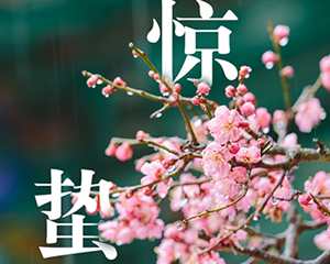 惊蛰来了！最高温直冲30℃！下周断崖式降温！或达寒潮级别
