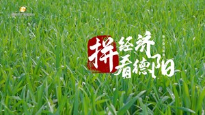 拼经济·看德阳（四）