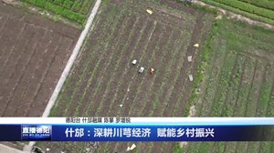 什邡：深耕川芎经济  赋能乡村振兴