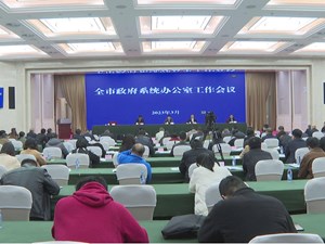 全市政府系统办公室工作会议召开