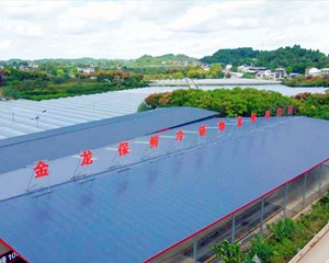 真抓实干！助推农业农村现代化迈出新步伐