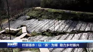 什邡洛水：以“茶”为媒  助力乡村振兴
